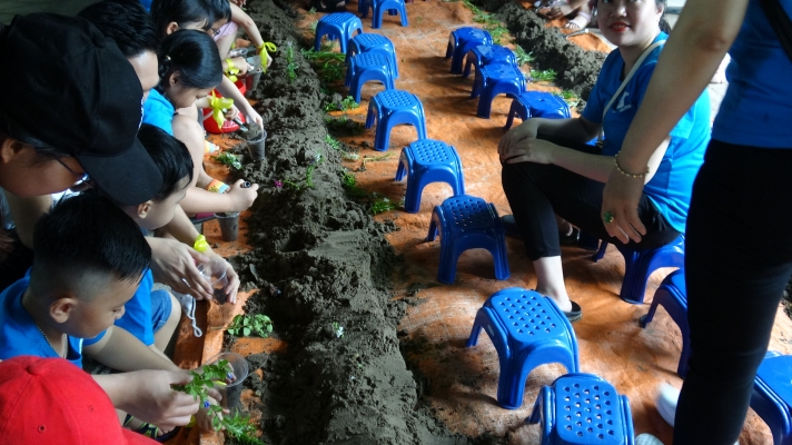 Dạy về các kỹ năng ươm cây, trồng cây tại Công viên Thực vật cảnh Việt Nam