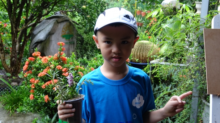 Dạy về các kỹ năng ươm cây, trồng cây tại Công viên Thực vật cảnh Việt Nam