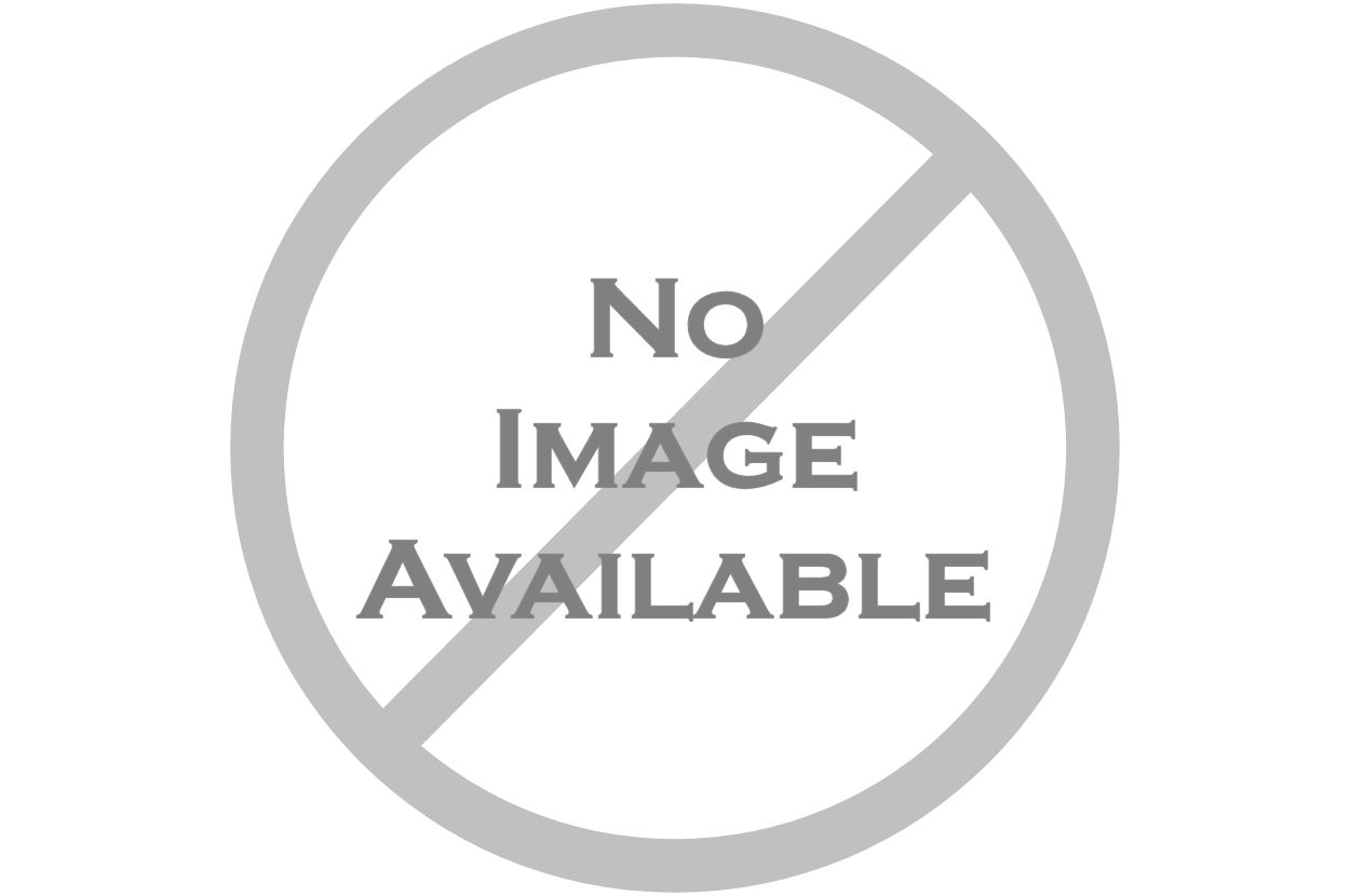 Một buổi tìm hiểu về ong mật ngay tại Công viên dành cho các bạn học sinh