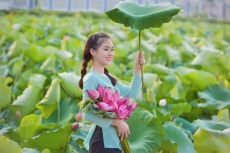 Dáng dấp thôn nữ thướt tha bên đầm sen công viên thực vật cảnh Việt Nam