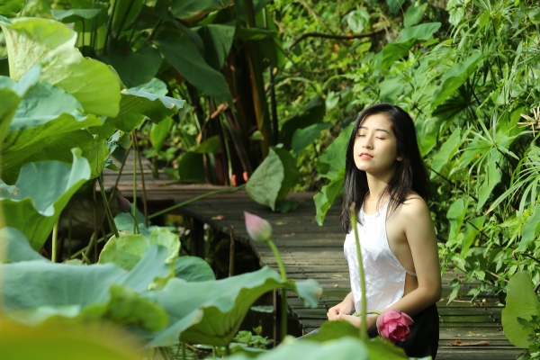 Giới thiệu về Công viên thực vật cảnh Việt Nam