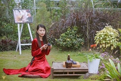Hồng Hạnh - Thưởng trà giữa vườn cúc