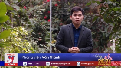 TH Thông Tấn (VNews) - Chương trình Việt Nam Xanh