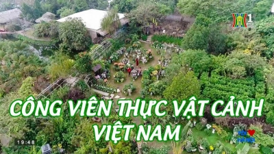 Tôi yêu Hà Nội - CV thực vật cảnh VN