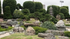 Thủ pháp phối hợp cây và đá cảnh trong vườn nghệ thuật đô thị