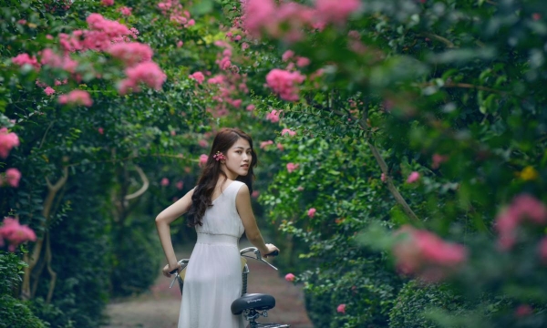 Người mẫu ảnh Trần Sơn Trà - Người tình hoa tường vi