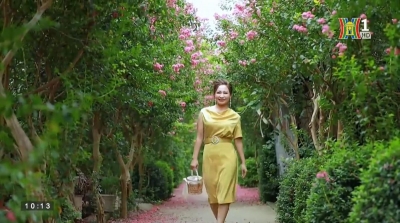 [Đẹp và Phong cách - TH Hà Nội] Sải bước trên con đường hoa Tường vi đẹp như cổ tích