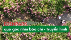 Công viên thực vật cảnh VN qua góc nhìn Báo chí – Truyền hình