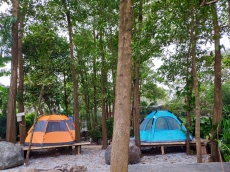 Dịch vụ cắm trại tại Công viên thực vật cảnh Việt Nam